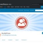 BuddyPress