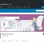 WooCommerce